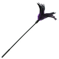 Előjáték, kellékek - Erotika pároknak: Sportsheets - toll cirógató, hosszú nyéllel (viola-fekete) termék fotó, kép
